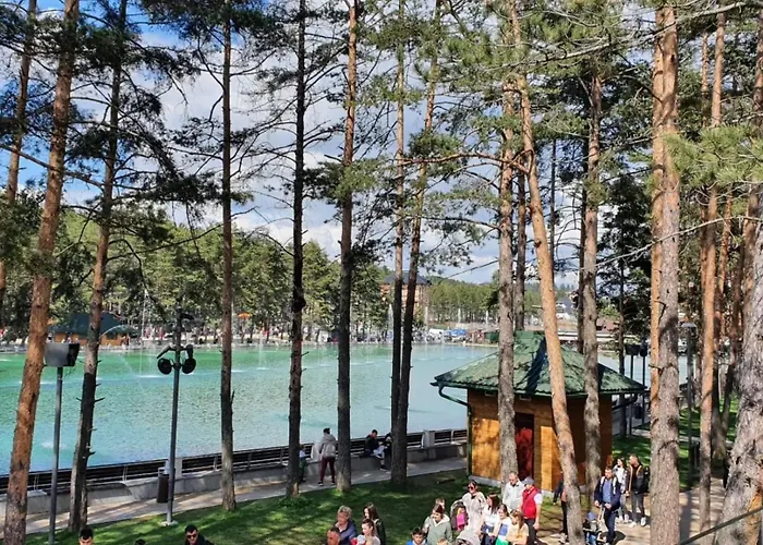 Balkan Square Forest Mm 즐라티보